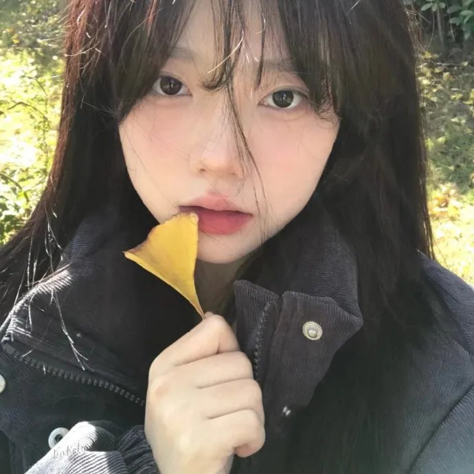 装饰海报
