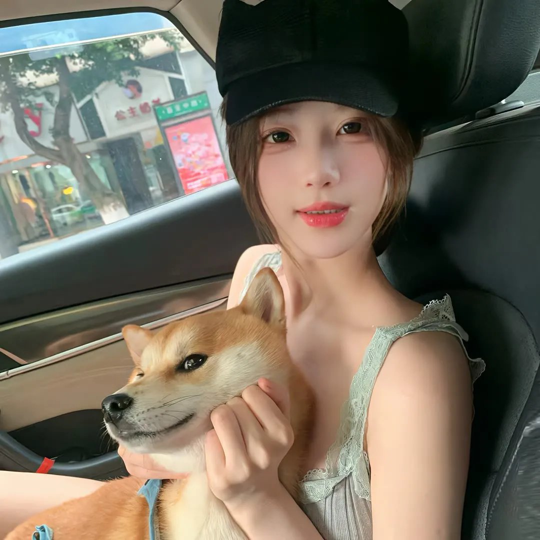 机智的公主殿下海报
